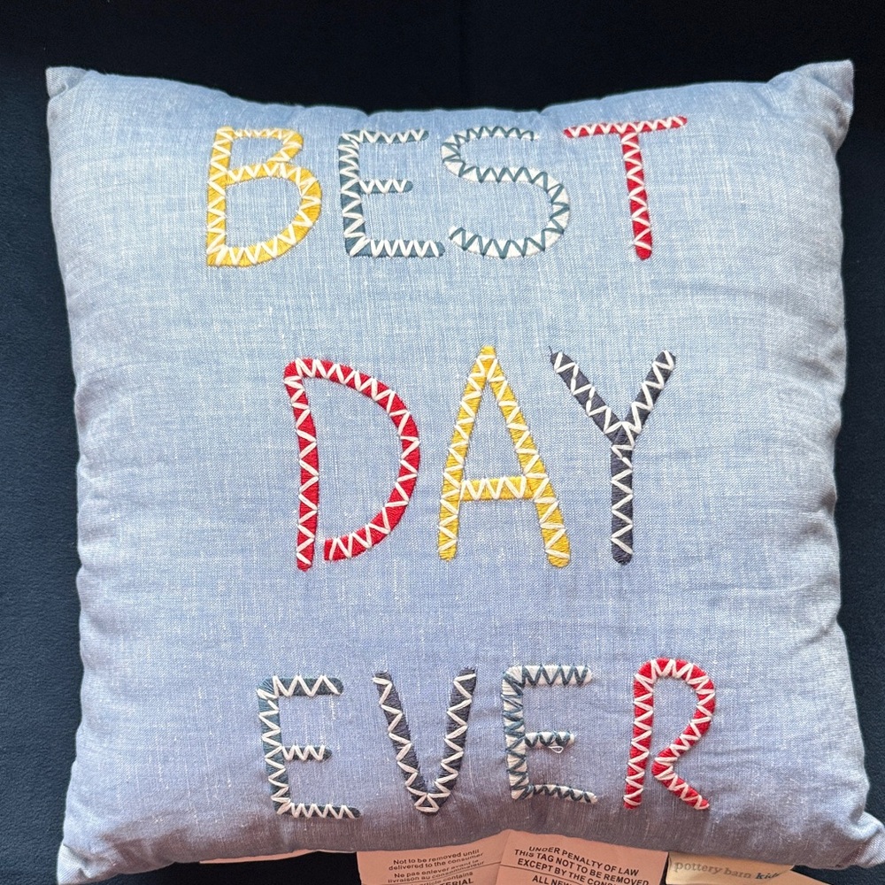 Pottery Barn Kids Blue 'Best Day Ever' Pillow